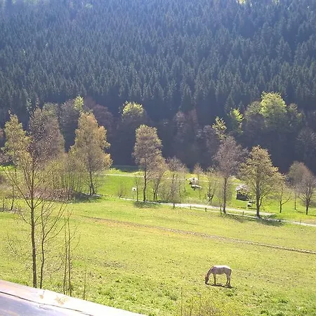 Apartamento Sonnenblick