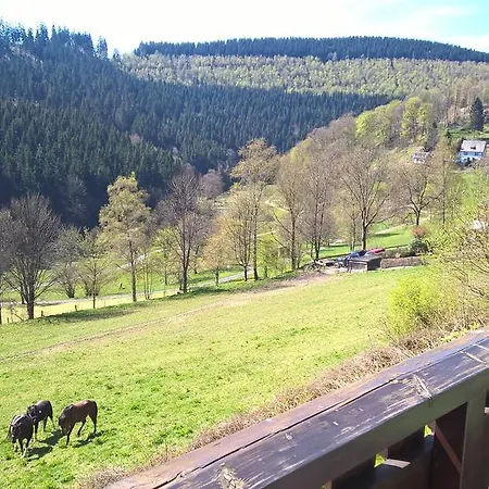 Apartamento Sonnenblick Schmallenberg